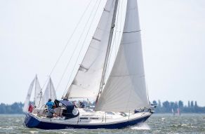 Contest 31 HT
